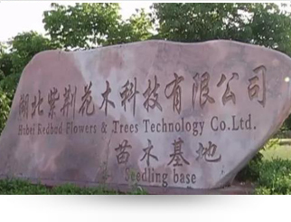 公司簡介 公司簡介